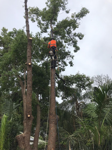 Austral Tree Services Pty Ltd