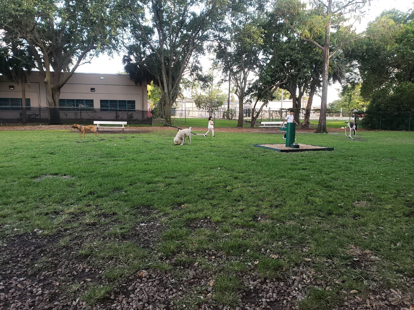 Woodville Dog Park
