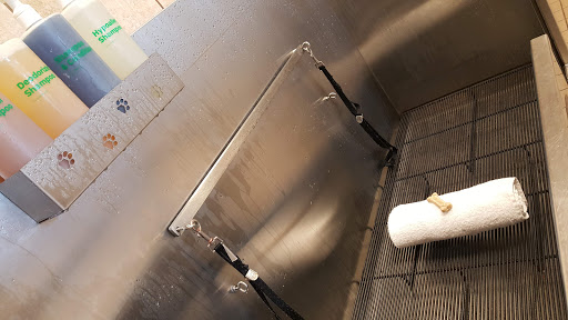 Pet Supply Store «Pet Supplies Plus», reviews and photos, 291 E Round Grove Rd Suite 150, Lewisville, TX 75067, USA