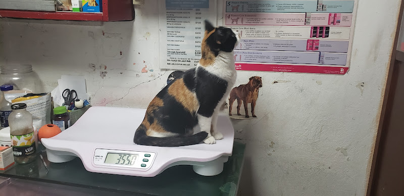 Foto de Farmacia veterinaria en Nezahualcóyotl, Estado de México