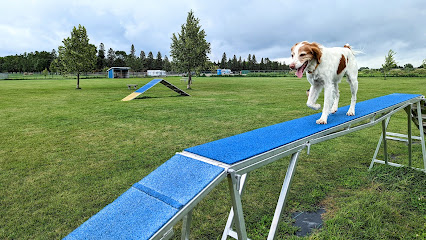 Watertown Dog Park