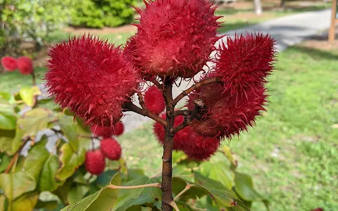 Arboretum at Constitution Park image