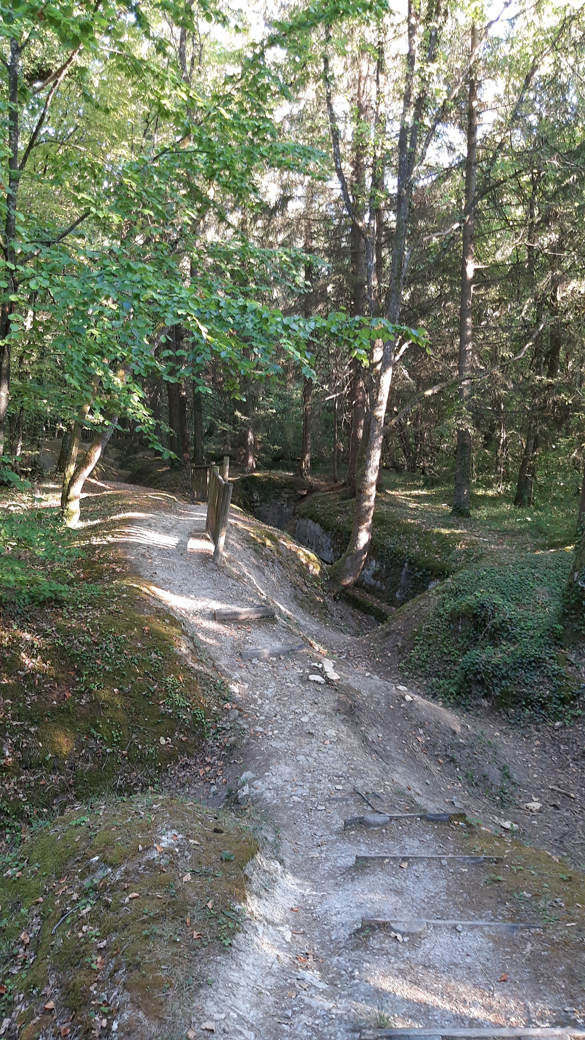 Photo n° 1 de l'avis de jean-luc.i fait le 25/08/2022 à 21:54
