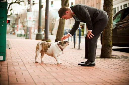 Attorney «Portland Defender», reviews and photos