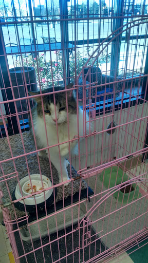 Pet Supply Store «Pet Supplies Plus», reviews and photos, 2057 S Telegraph Rd, Bloomfield Hills, MI 48302, USA