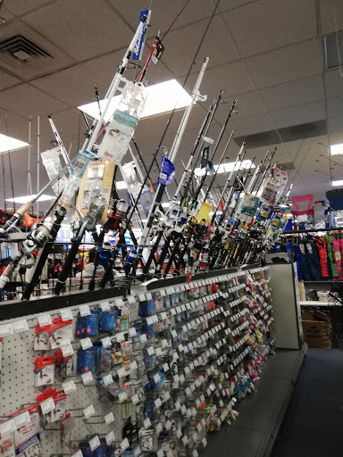 Big 5 Sporting Goods image