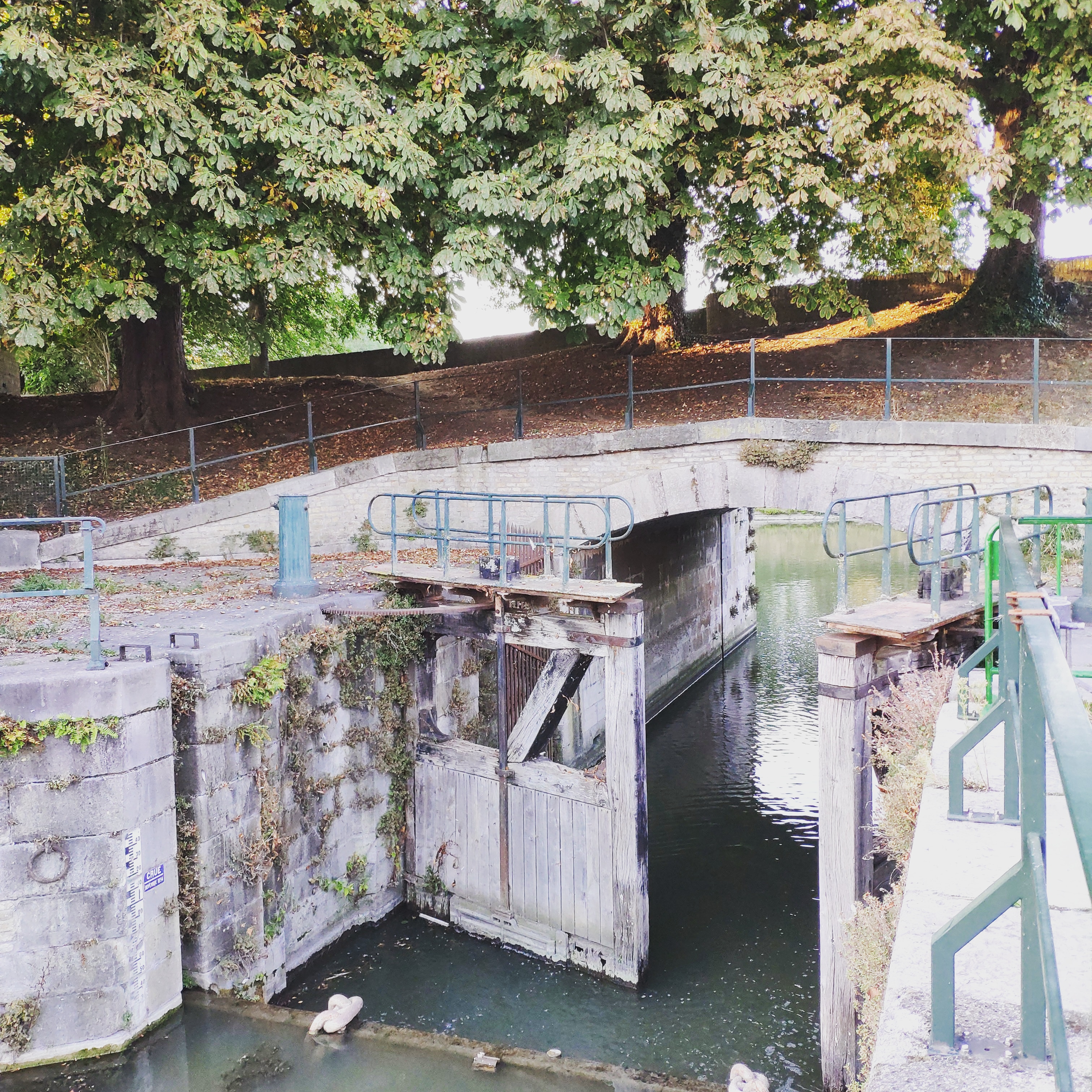 Photo n° 3 de l'avis de Tchov. fait le 22/09/2019 à 10:08