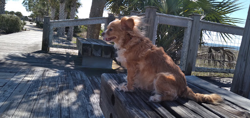 Animal Health Center: Donaldson M Bruce DVM image