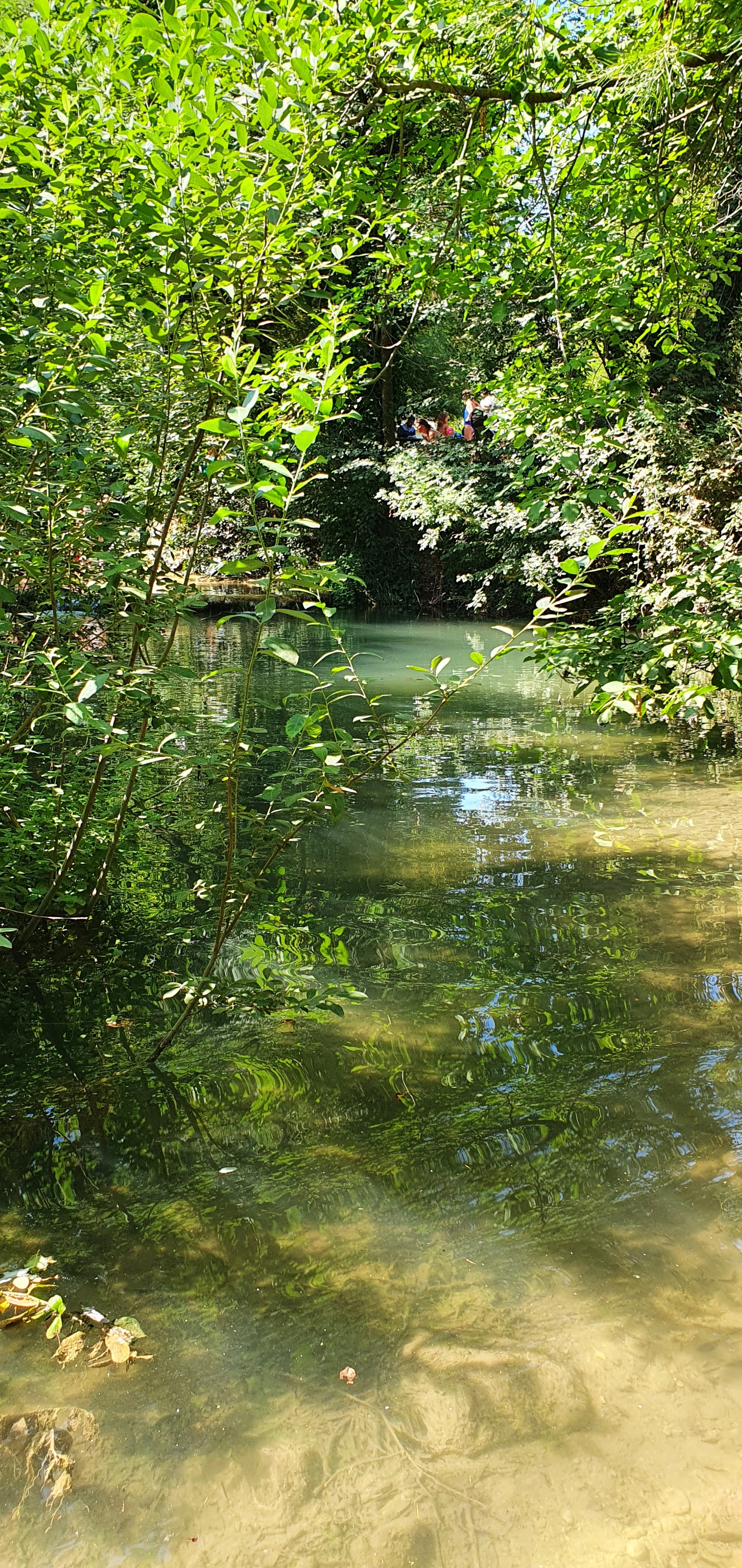 Photo n° 24 de l'avis de Miss. fait le 09/09/2022 à 13:31