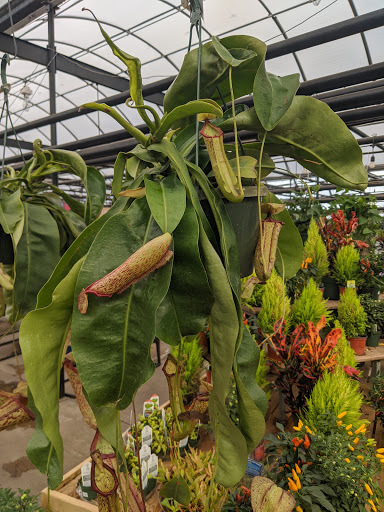 Garden Center «H J Benken Florist & Garden», reviews and photos, 6000 Plainfield Rd, Cincinnati, OH 45213, USA