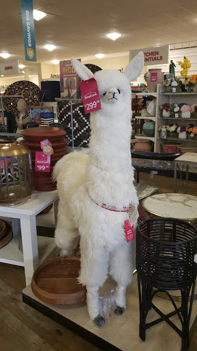 Department Store «HomeGoods», reviews and photos, 4201 Towne Center Dr, Louisville, KY 40241, USA