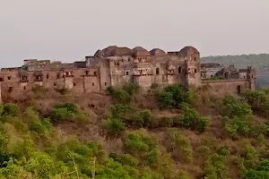 Narsinghgarh Fort image