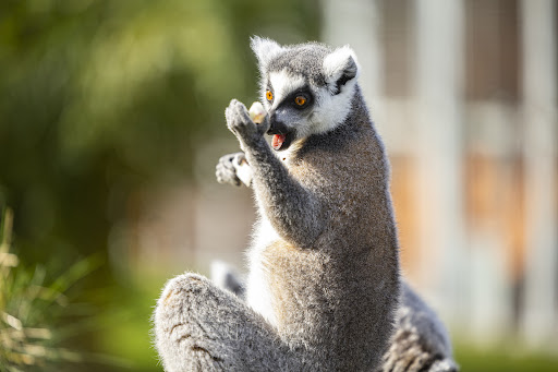 Zoo Hamm unter Hamm, 