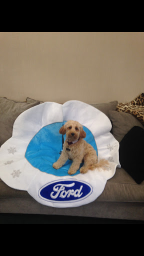 Ford Dealer «Valley Ford Truck», reviews and photos, 5715 Canal Rd, Cleveland, OH 44125, USA