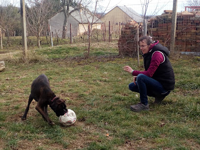 Családi kutyaiskola - bentlakásos elhelyezés - kutyanapközi - Pécs és Mohács között