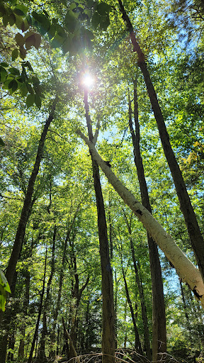 Nature Preserve «John Burroughs Slabsides», reviews and photos, Burroughs Dr, West Park, NY 12493, USA