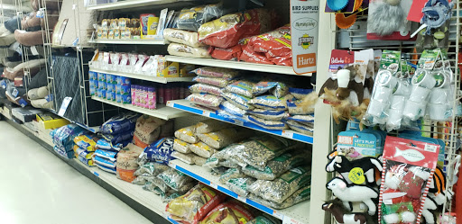 Discount Store «Big Lots», reviews and photos, 7991 Amador Valley Blvd, Dublin, CA 94568, USA