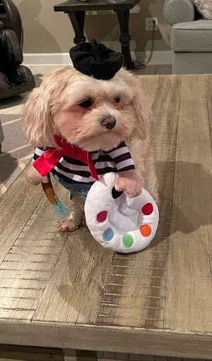 Insurance Agency «Traci Plemons - State Farm Insurance Agent», reviews and photos