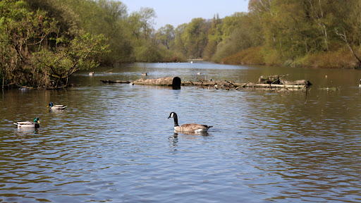 Coombe Country Park Coventry