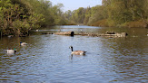 Coombe Country Park