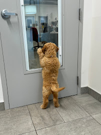 Veterinary Emergency Group - Photo 5 - Car repair in Cary, NC, Raleigh