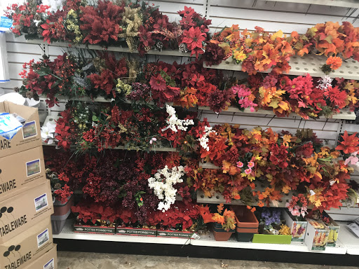 Dollar Store «Dollar Tree», reviews and photos, 847 Queen St, Southington, CT 06489, USA