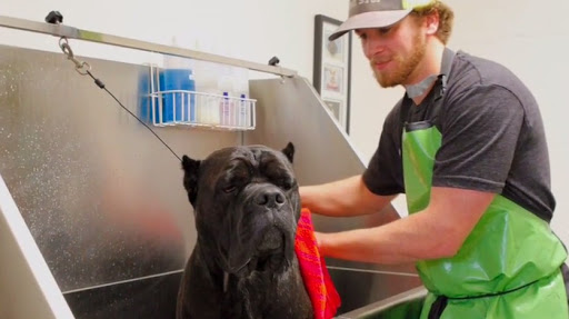 Pet Store «Good Life Pet Center», reviews and photos, 525 S Main St, Heber City, UT 84032, USA