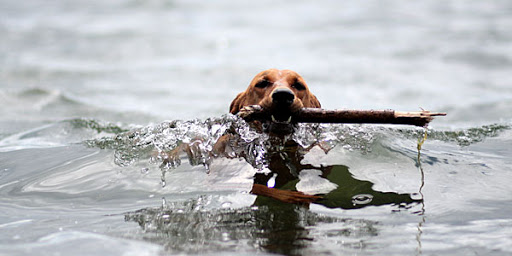 Boutique Hotel «Eleven Gables Inn and Cottage», reviews and photos, 493 Wrigley Dr, Lake Geneva, WI 53147, USA