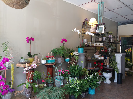 Florist «Fleur De Lis Florist», reviews and photos, 811 Castro St, Mountain View, CA 94041, USA