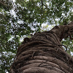 Photo n°1 de l'avis de Artur.a fait le 13/08/2023 à 21:08 sur le  Il Salotto Srl à Trapani