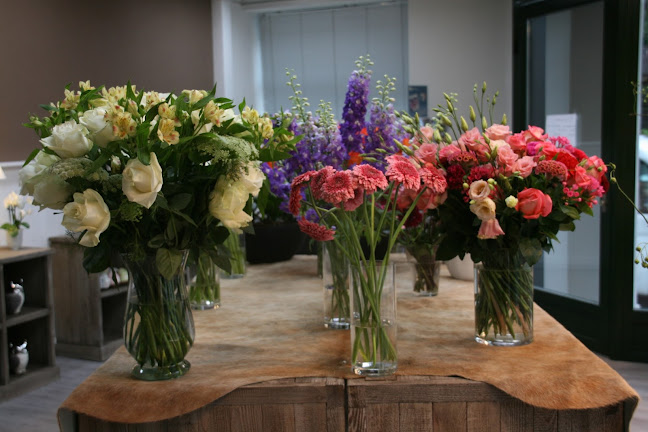Rezensionen über Blumen Floradesign GmbH in Zürich - Blumengeschäft