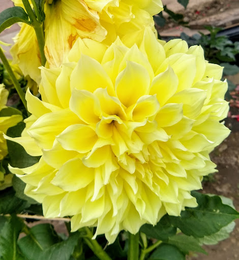 Park «Walter & Mary Burke Park», reviews and photos, 36300 Front St, New Baltimore, MI 48047, USA