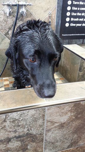 Pet Supply Store «Pet Valu», reviews and photos, 7651 W Ridgewood Dr #916, Parma, OH 44129, USA