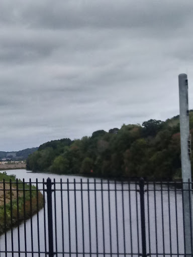 Discount Store «Walmart», reviews and photos, 465 Bridgeport Ave, Shelton, CT 06484, USA