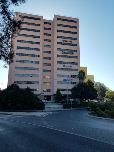 Opinii despre GRAVINER CONSTRUÇÕES S.A. în Oeiras - Construtora