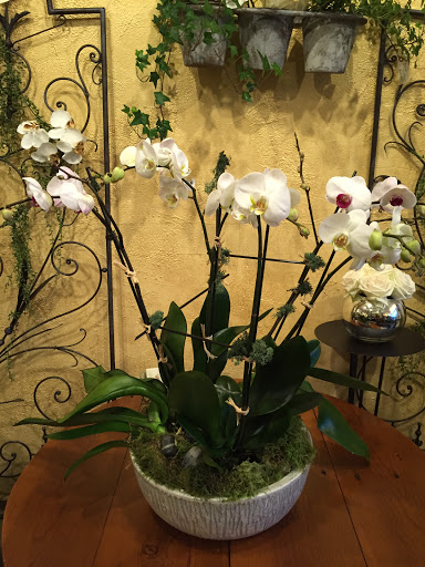 Florist «Fresh Flower Market», reviews and photos, 122 W Main St, Barrington, IL 60010, USA