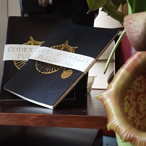 Bicycle Store «Bay City Cycles», reviews and photos, 412 Main St W, Ashland, WI 54806, USA