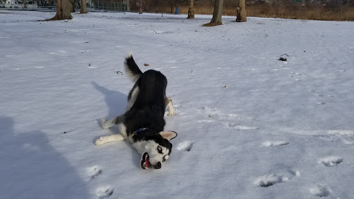 Park «Kawameeh Park», reviews and photos, 1750 Morris Ave, Union, NJ 07083, USA