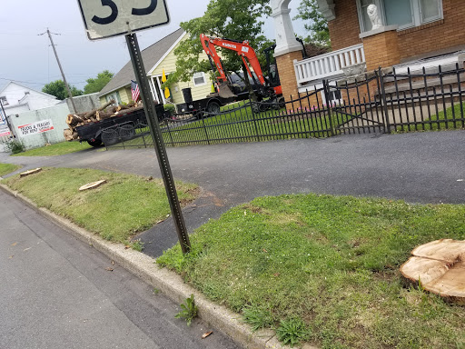 Grocery Store «Townmarket», reviews and photos, 117 E Main St, Newmanstown, PA 17073, USA