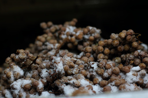 Winery «Dancing Dragonfly Winery», reviews and photos, 2013 120th Ave, St Croix Falls, WI 54024, USA