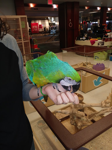 Pet Store «Petland Topeka», reviews and photos, 1801 SW Wanamaker Rd, Topeka, KS 66614, USA