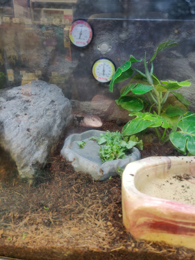 Pet Supply Store «Petco Animal Supplies», reviews and photos, 6425 Keizer Station Blvd, Keizer, OR 97303, USA