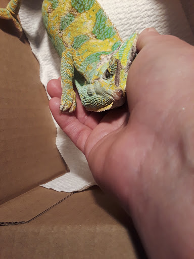 Pet Supply Store «Pet Supplies Plus», reviews and photos, 22013 Lorain Rd, Fairview Park, OH 44126, USA