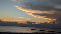 大貫海岸の堤防