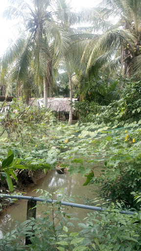 Nhà Nghỉ Bình An