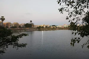 Pond Walking Track image