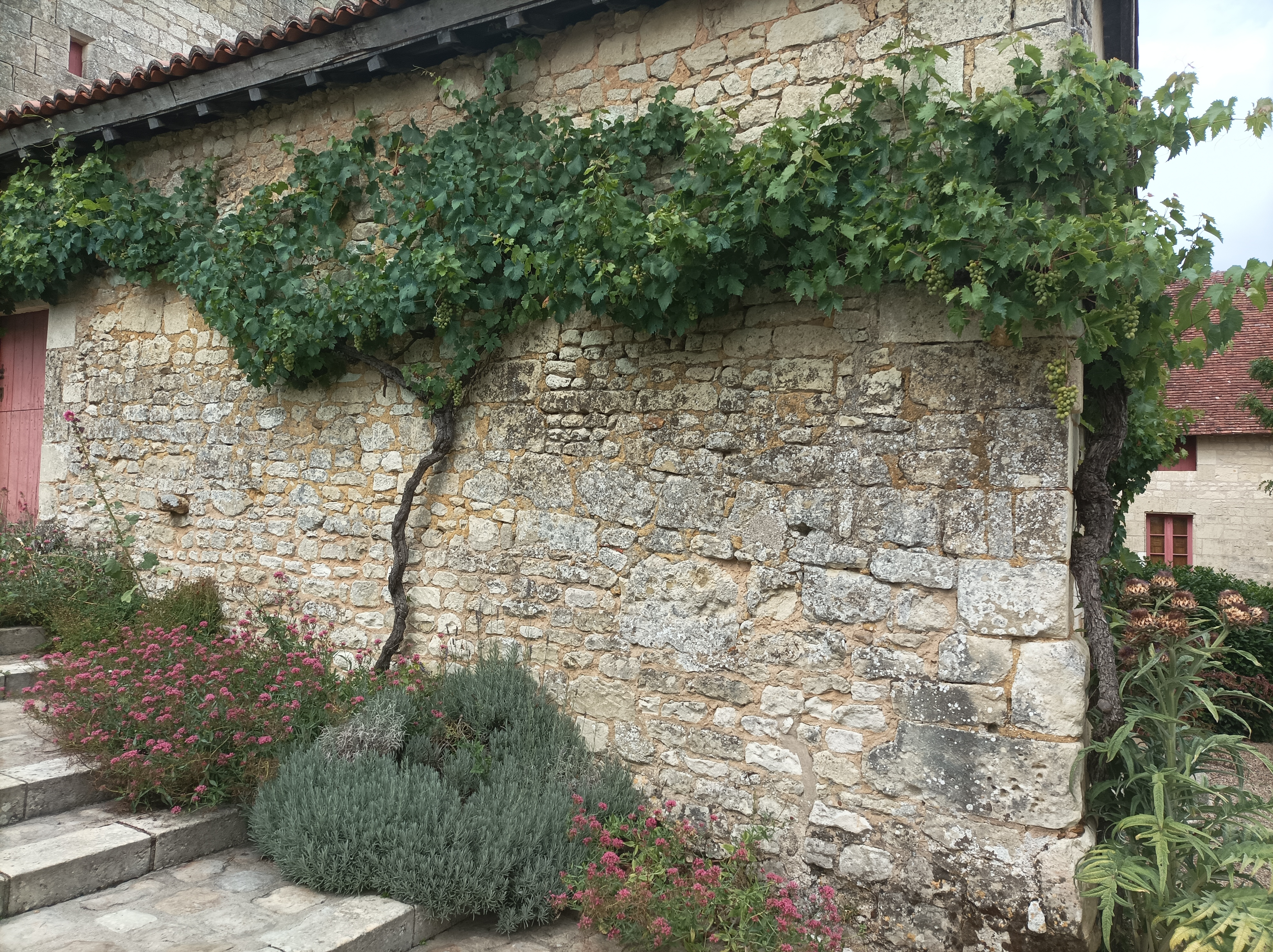 Photo n° 12 de l'avis de flo.a fait le 23/07/2022 à 13:35