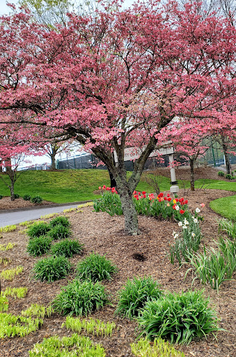 Golf Club «Virginian Golf Club», reviews and photos, 22512 Clubhouse Ridge, Bristol, VA 24202, USA