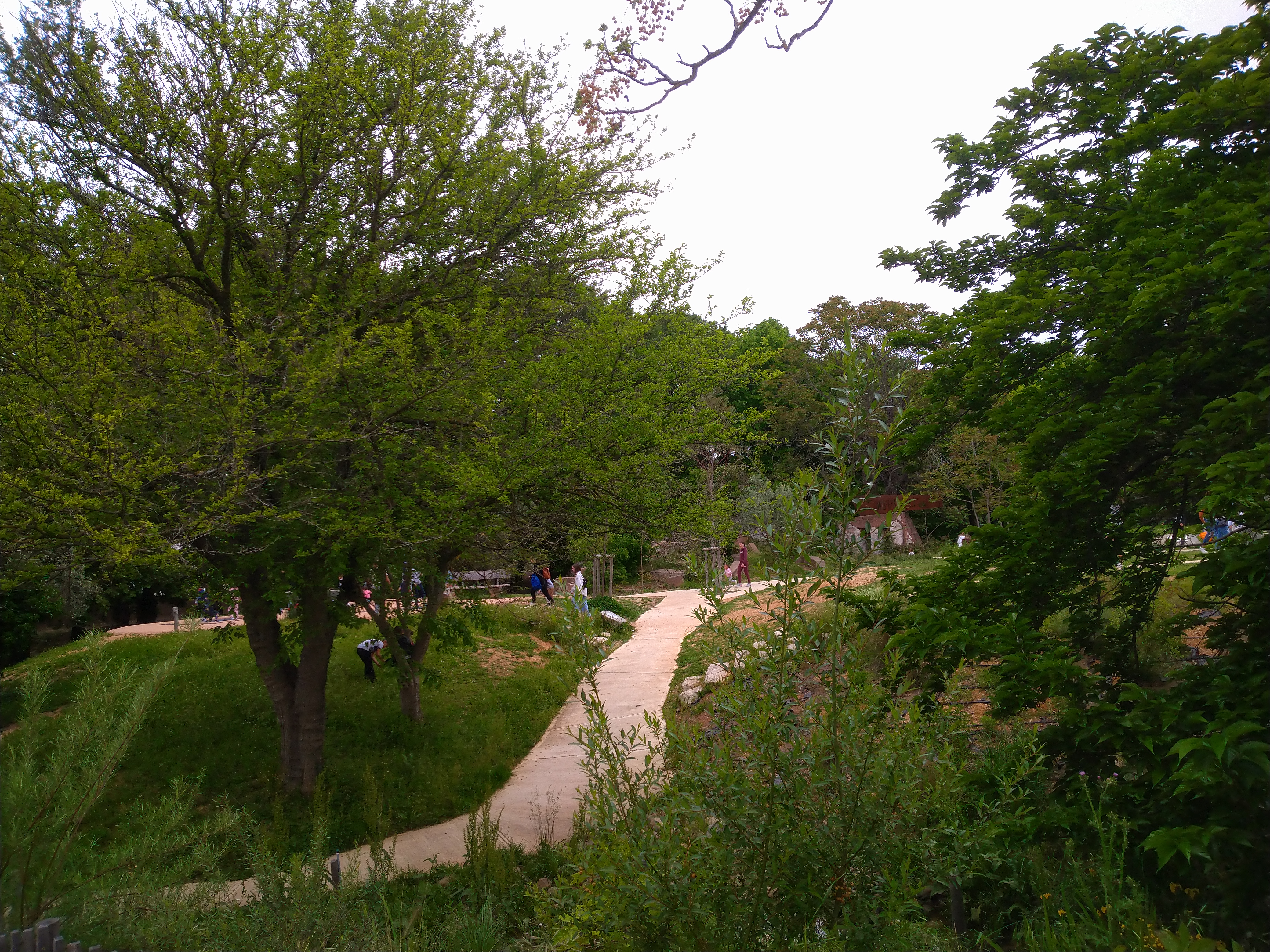 Photo n° 3 de l'avis de Anfifa.L fait le 15/05/2021 à 13:15