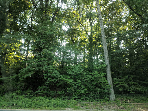 Park «Meadowbrook Local Park», reviews and photos, 7901 Meadowbrook Ln, Chevy Chase, MD 20815, USA